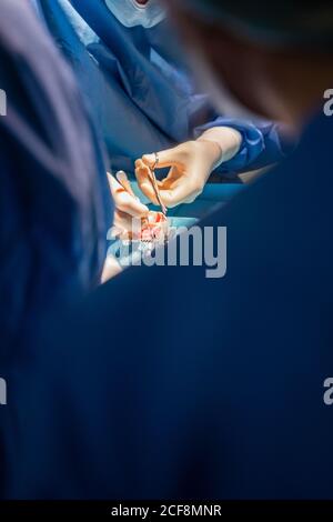 Veterinarian surgeons and nurses in uniform concentrating and operating dog using special equipment in operating room of contemporary hospital Stock Photo