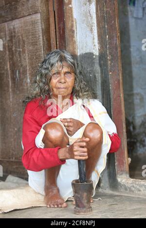 PANIYAN TRIBE, Tribal Old Woman using Pestle and Mortar -Chulliyod Village, Kottayil, Kerala, India Stock Photo