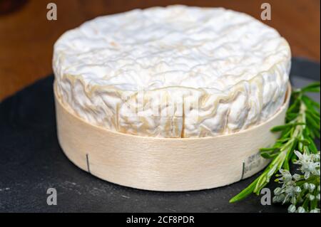 French cheeses collection, piece of matured camembert cow milk cheese with white mold from Normandy Stock Photo