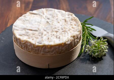 French cheeses collection, piece of matured camembert cow milk cheese with white mold from Normandy Stock Photo