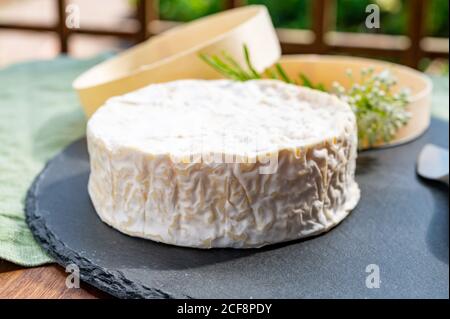 French cheeses collection, piece of matured camembert cow milk cheese with white mold from Normandy Stock Photo