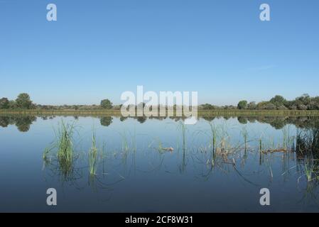 Lake Nebunu, Letea Forest, Periprava, Danube Delta, Romania Stock Photo