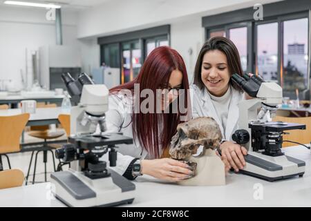 Young scientists examining skull in lab Stock Photo