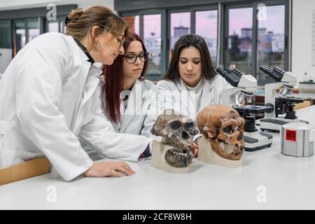 Scientists examining skull in lab Stock Photo