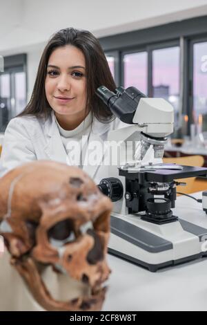 Scientists examining skull in lab Stock Photo