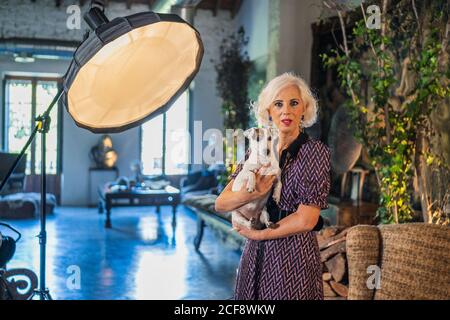 Pensive gray haired actress in elegant dress with obedient small Jack Russell Terrier dog standing beside soft box and looking at camera during break in work against blurred interior of cozy contemporary studio Stock Photo