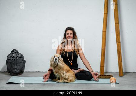 Content female sitting on yoga mat with English Cocker Spaniel dog and meditating in Padmasana in room with Buddha head and bamboo sticks Stock Photo