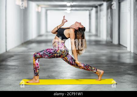 Fit attractive young woman practicing yoga exercise called Warrior Pose 2,  sanskrit name: Virabhadrasana 2, this posture strengthens and stretches  Stock Photo - Alamy