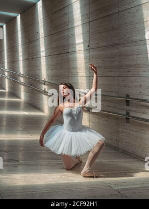 Ballerina in white ballet tutu performing exercises at rail in contrast sunny light Stock Photo