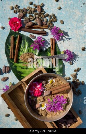 flat lay  concept with raw cocoa and coffee beans , cocoa powder,twig of cinnamon,  leaf and flower  as  ingredien for recipe  on wooden rustic blue Stock Photo