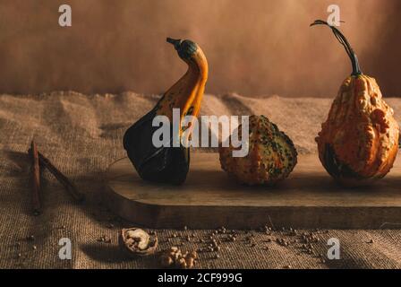 Still life of small dried pumpkins on wooden surface with spice of pepper and cinnamon on tough tissue in warm light Stock Photo