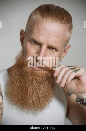 Thoughtful red haired bearded middle aged man in casual white singlet with tattoo on fingers and arms and earrings in ear touching mustache and looking at camera against gray background Stock Photo