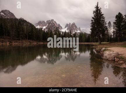 Small pond in lush grass with bridge in forest Stock Photo