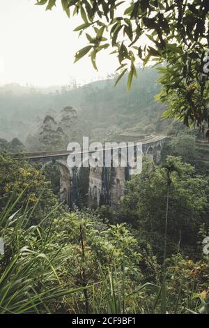 From above old stone bridge among green tropical plants with foggy sky on background in Sri Lanka Asia Stock Photo