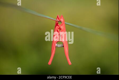 Red clothespin hanging on a green wire in a garden, green blurred background. Stock Photo
