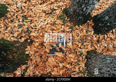 top view of vintage typewriter covered with oak leaves in autumn Stock Photo