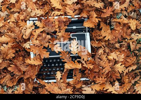 top view of vintage typewriter covered with oak leaves in autumn Stock Photo