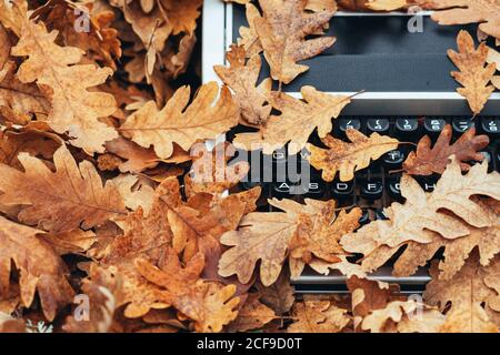 top view of vintage typewriter covered with oak leaves in autumn Stock Photo