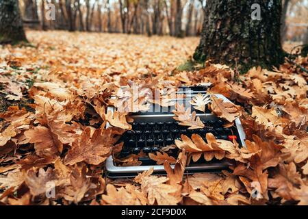 Vintage typewriter covered with oak leaves in autumn Stock Photo