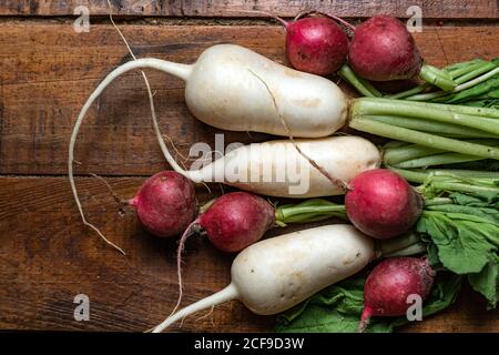 Top view of bunch of fresh dirty red radish and daikon with green leaves on rustic plank wooden table Stock Photo