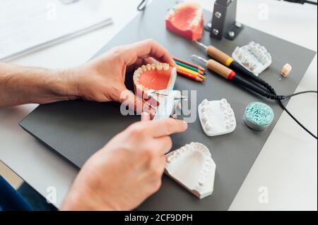 From above of crop male dentistry student using caliper for measuring dental prosthesis while working at table with tools during class Stock Photo
