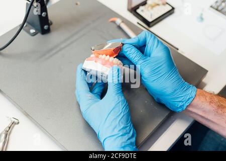 From above crop male student hands holding denture and paste while sitting at table during dentistry class Stock Photo