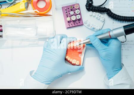From above cropped anonymous dentist trainee in blue gloves performing dental operation with bur carving dental cast while working in lab Stock Photo