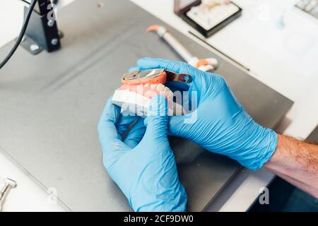 From above crop male student hands holding denture and paste while sitting at table during dentistry class Stock Photo