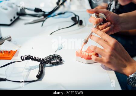 From above back view of crop male orthodontist using professional equipment while working with dental cast in modern laboratory Stock Photo