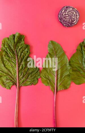 From above fresh beetroot leaves placed near half of ripe red cabbage on bright pink background Stock Photo
