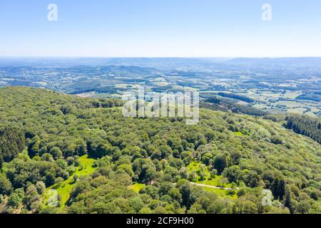 France, Saone et Loire, Regional Natural Park of Morvan, Mont Beuvray, Saint Leger sous Beuvray, Bibracte oppidum on the Mont Beuvray, forest massif ( Stock Photo