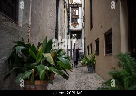 From below of excited female tourist in casual clothing walking at tight rocked alley with quick pot of green plants and old buildings on each side at Albaicin in Granada at Spain Stock Photo