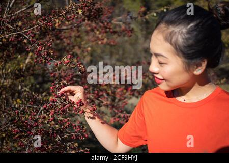 Cheerful joyful pleasant Woman in red t-shirt holding tree branch with wild red berry in garden in sunny day Stock Photo