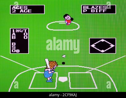 Dusty Diamond's All-Star Softball - NES Videogame