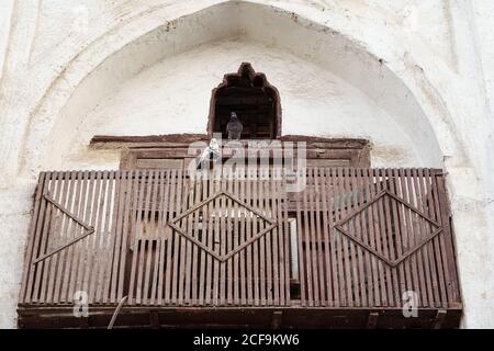 From below of pair of pigeons sitting on weathered wooden balcony of ancient building with arched window and shabby stone wall in Jeddah city in Saudi Arabia Stock Photo