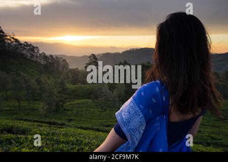 Back view of pensive young female brunette in blue sari watching at picturesque sundown while standing on tea fields in Haputale in Sri Lanka Stock Photo