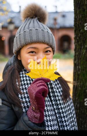 Happy youthful ethnic asian Woman in warm clothes looking at camera and covering face with yellow maple leaf while standing at Oslo Cathedral in Norway Stock Photo
