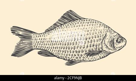 Fish hand drawn sketch. Vintage vector illustration Stock Vector