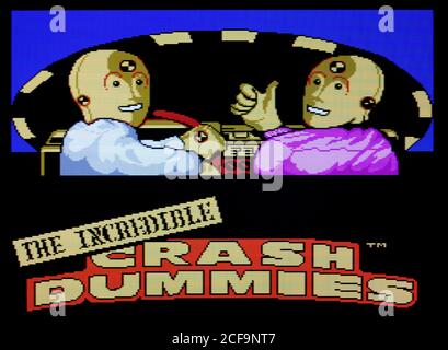 Crash 2024 dummies nes