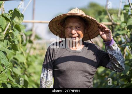 Senior Asian man in traditional oriental conical hat and casual clothes smiling away against blurred green plants growing on farm in hot sunny day in Taiwan Stock Photo