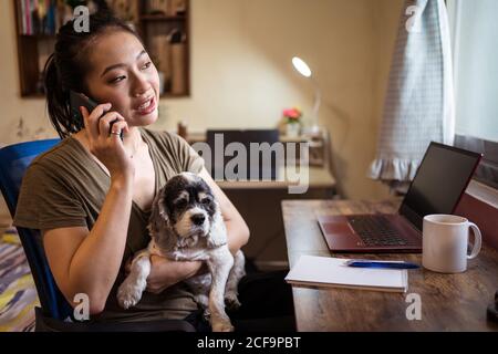 Serious female freelancer talking on smartphone about project sitting on chair working remotely on a computer and notepad while holding a dog Stock Photo