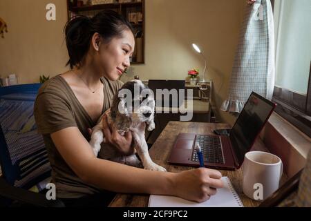 Side view of focused female freelancer sitting on chair taking notes on notepad while holding a dog working remotely from home Stock Photo
