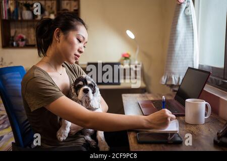 Side view of focused female freelancer sitting on chair taking notes on notepad while holding a dog working remotely from home Stock Photo