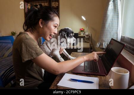 Cheerful female freelancer working remotely on laptop sitting on chair while holding dog Stock Photo