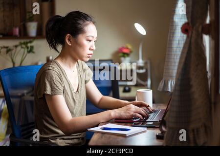 Side view of Asian female freelancer in casual t shirt and eyeglasses sitting at table and browsing computer while working on project online at home Stock Photo