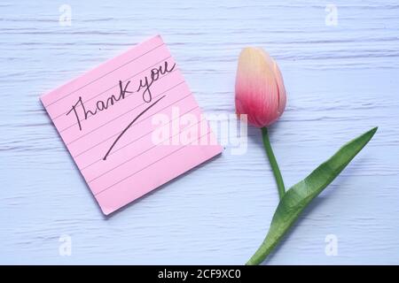 thank you message on sticky note with tulip flower on white background  Stock Photo