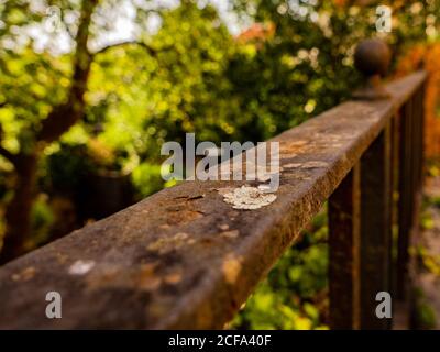 Old railing with rust and moss Stock Photo