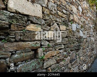 Old wall made of stones in Santiago de Compostela. Between stones there are little plants and mosses. Stock Photo