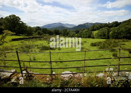 metal fence and view of langdale pikes from public right of way through rural farmers fields loughrigg lake district national park cumbria england uk Stock Photo