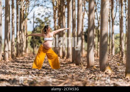Adult pregnant Woman with closed eyes in white shirt and yellow pants standing with outstretched arms and practicing yoga alone among trees on brown ground in park during sunny day Stock Photo